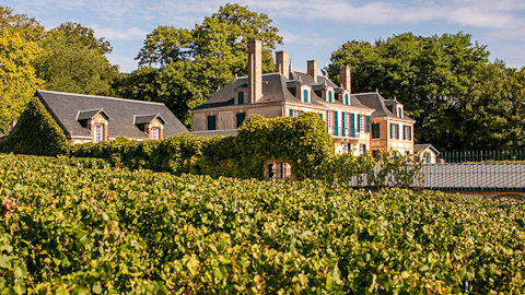 Champagne/sparkling wine