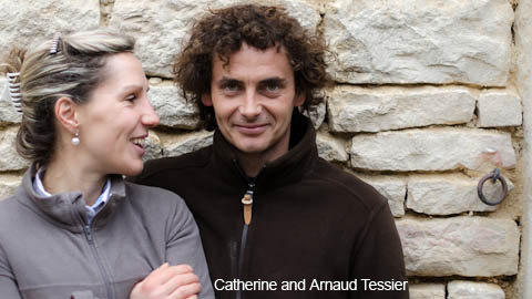 Burgundy/Beaujolais/Jura