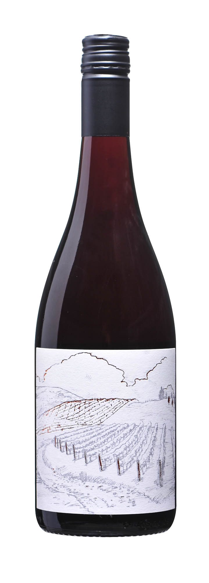 2019 Greystone Vineyard Ferment Pinot Noir