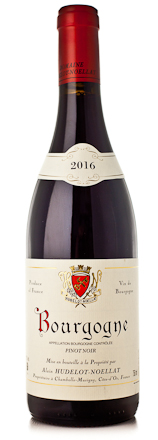 2016 Hudelot-Noellat Bourgogne Pinot Noir
