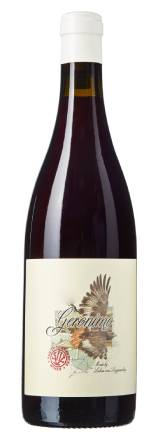 2023 Lukas van Loggerenberg Geronimo Cinsault
