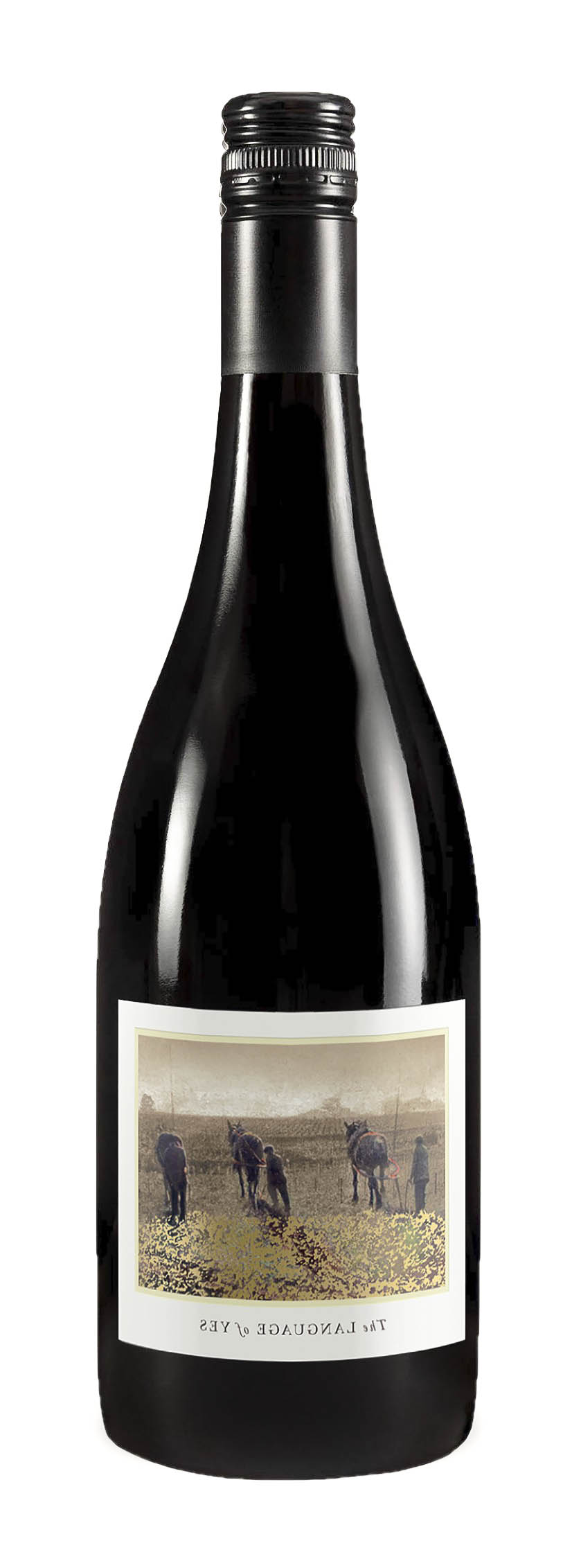 2020 Language of Yes Syrah