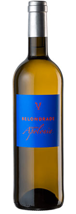 2019 Belondrade Quinta Apolonia