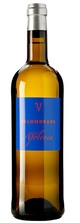 2022 Belondrade Quinta Apolonia