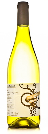 2016 Marco Sara Ribolla Gialla