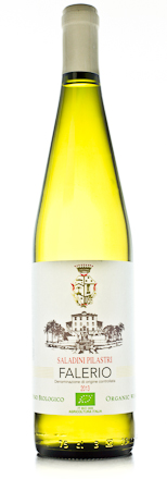 2013 Saladini Pilastri Falerio Colli Ascolani