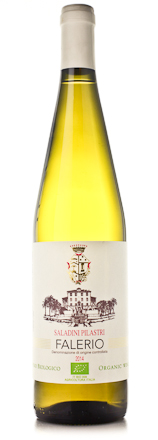 2014 Saladini Pilastri Falerio Colli Ascolani