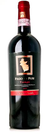 2005 Terredora Taurasi Pago dei Fusi