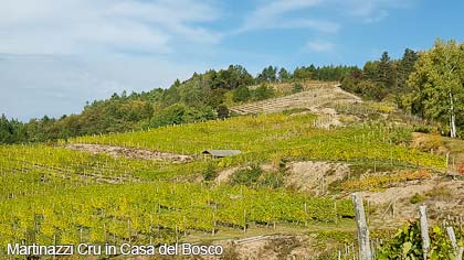 Azienda Agricola Antoniotti