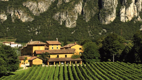 Tenuta San Leonardo