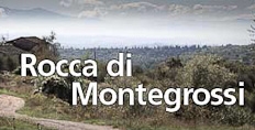 Rocca di Montegrossi's glorious 2009 Chianti & 2007 San Marcellino