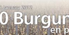 2010 Burgundy en primeur: an introduction