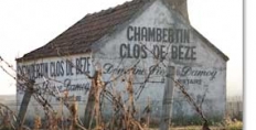 2010 Burgundy en primeur: Gevrey-Chambertin