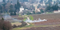 2019 Burgundy en primeur 