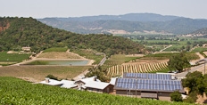 Shafer vineyards in the Napa valley