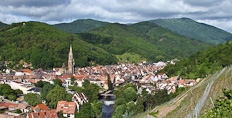 The village of Rangen seen from the vineyards of Zind Humbrecht