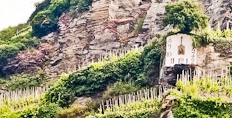 The sundial that gives the Wehlener Sonnenuhr vineyard, in the Mosel, it's name.