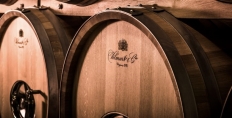 Vilmart foudres in their winery
