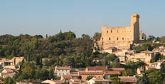 Château de Châteauneuf-du-Pape