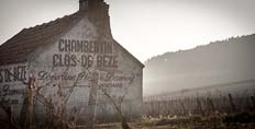 2012 Burgundy: Gevrey-Chambertin