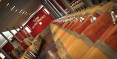 The barrel cellar at Grand-Puy-Lacoste 