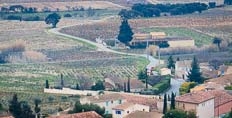 View from Chateauneuf-du-pape