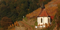 Clos Saint Urbain in Thann