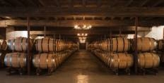 Barrel cellars at Batailley