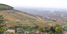 Chablis Grand Cru Les Clos