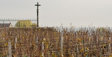 2022 Chambolle-Musigny