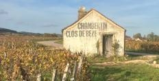 Gevrey-Chambertin Clos de Beze