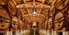 Beaucastel's vat room