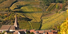 Sommerberg in Niedermorschwihr