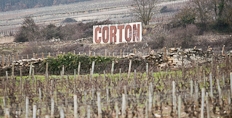 2015 Burgundy round-up