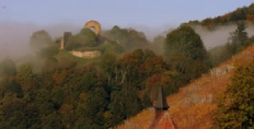 Clos Saint Urbain