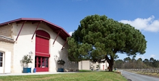 Domaine de Chevalier