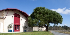 Domaine de Chevalier