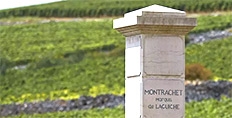 Drouhin Montrachet Marquis de Laguiche