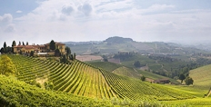 The Cogno winery overlooking the Ravera vineyard