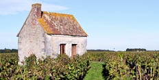 A cabotte at Domaine Francois Chidaine