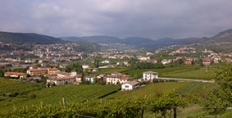 Giuseppe Quintarelli's superb Amarone and Valpolicella