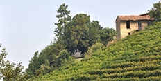Gramolere in Monforte