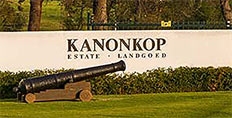 Kanonkop wine estate