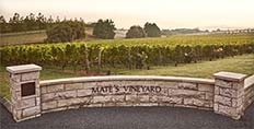 Kumeu Mate's Vineyard