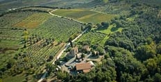 Lisini's Ugolaia vineyard in Montalcino