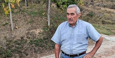 Mauro Franchino