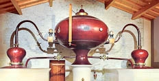 Chateau de Montifaud still