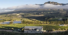 Newton-Johnson Winery, Hemel-en-Aarde