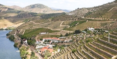 Quinta de Vargellas