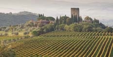 Castello di Argiano
